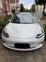 Tesla Model 3 Model 3 Performance Allradantrieb Dual Motor Weiß - thumbnail 2