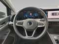 Volkswagen Golf Variant Golf VIII Variant 2.0 TDI Life DSG Grau - thumbnail 13