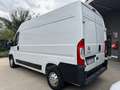 Citroen Jumper L2 H2 PM-TM 37000 km TAGLIANDATO E CON GARANZIA Bianco - thumbnail 3