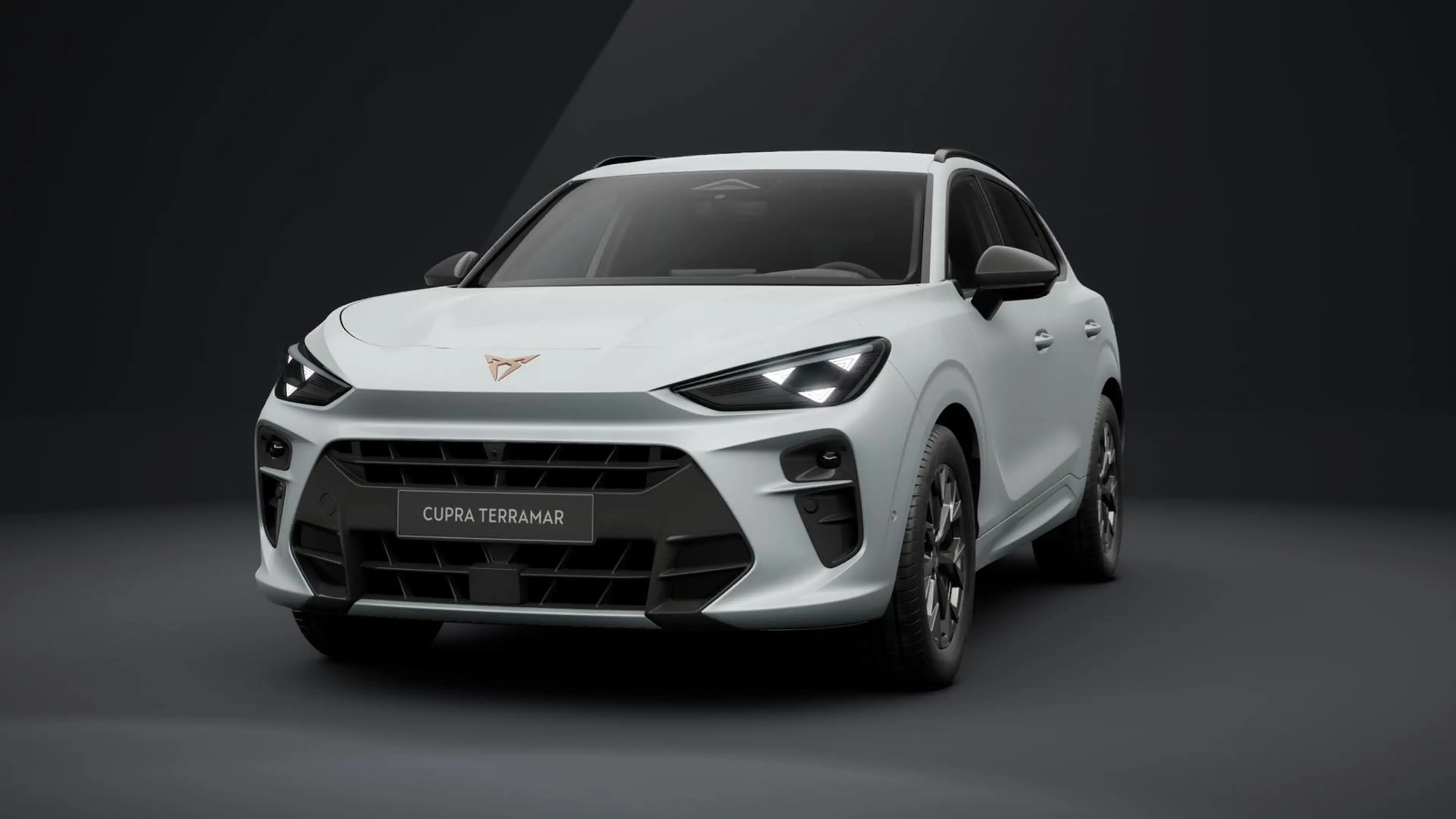 CUPRA Terramar 1.5 eTSI DSG AHK NAVI ACC SITZH. LED — photo 2