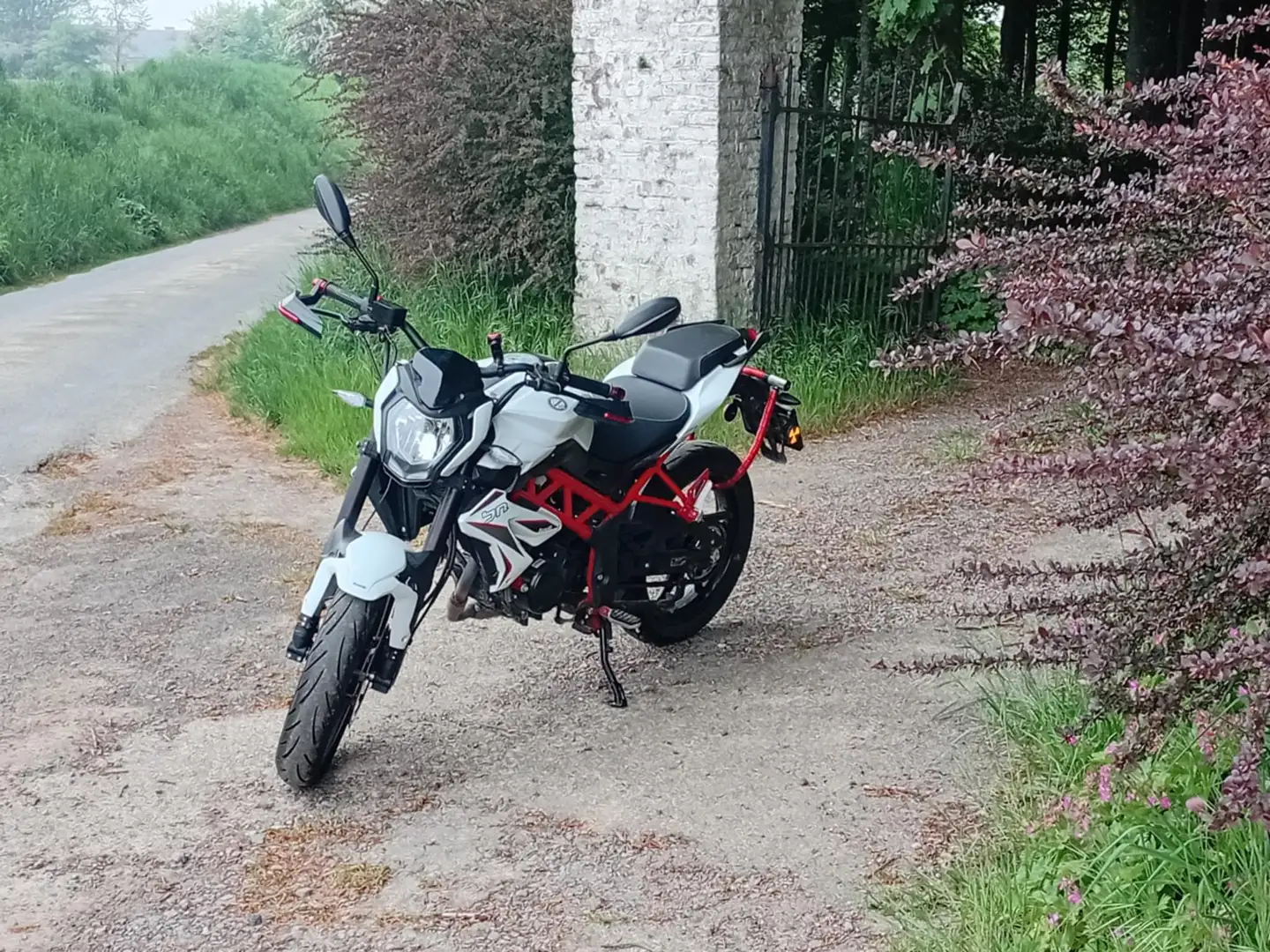 Benelli BN 125 Bílá - 1
