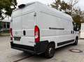 Opel Movano C Kasten L3H2 3,5t Navi Kamera Pdc klima - thumbnail 4