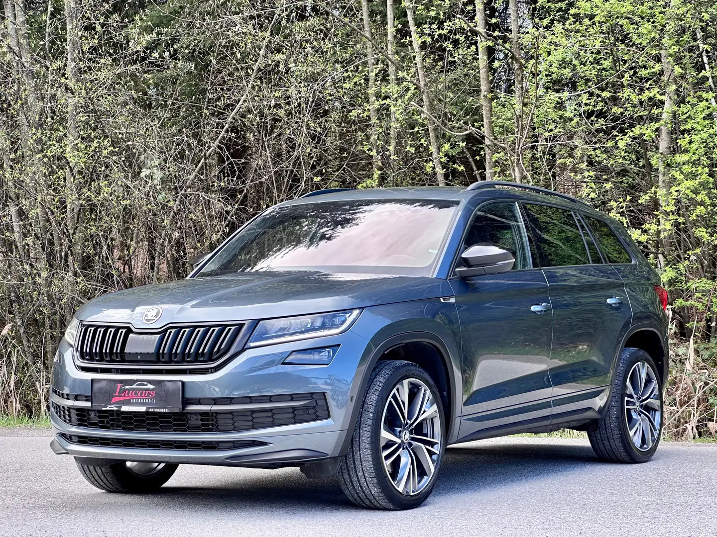 Skoda Kodiaq 2.0 TDI Sportline 4x4 Aut. ACC*AHK*360*1 BESITZ* Grau - 1
