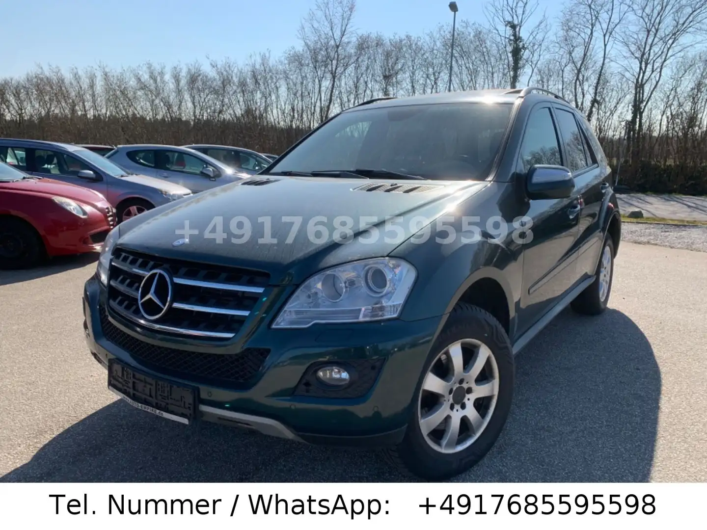 Mercedes-Benz ML 320 ML -Klasse ML 320 CDI/Leder/Navi/Xenon/Sc Grün - 1