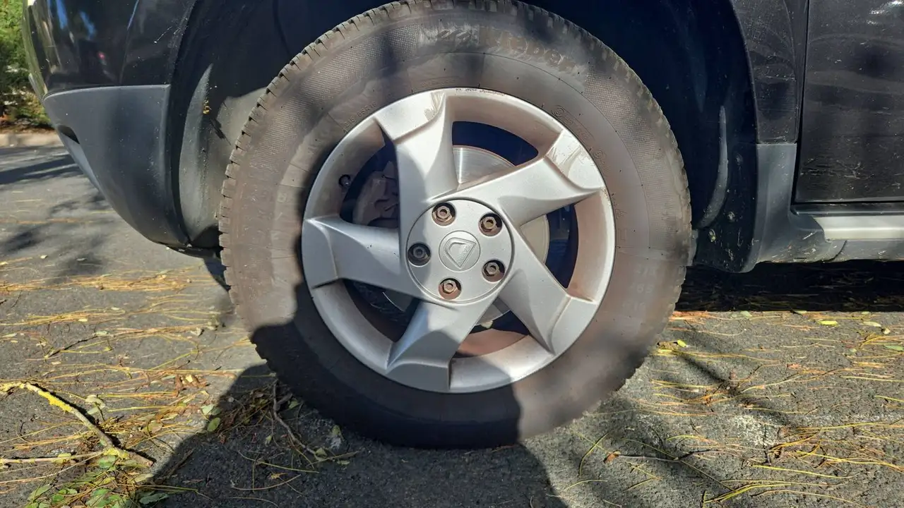 Dacia Duster — photo 18