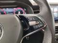 Skoda Kamiq Kamiq 1.0 TSI 110 CV Monte Carlo Grigio - thumbnail 14