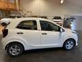 Kia Picanto Edition 7 2024 Blanc - thumbnail 7