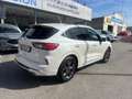Ford Kuga 1.5 EcoBoost ST-Line X FWD 150 Blanco - thumbnail 4