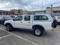 Nissan King Cab Double 2.5 Blanc - thumbnail 6