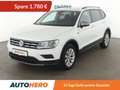 Volkswagen Tiguan Allspace 1.5 TSI ACT Trendline*KLIMA*LM-FELGEN* Белый - thumbnail 1
