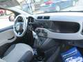 Fiat Panda 1.2 BENZINA E5 LOUNGE +600.00 GPL NUOVO Weiß - thumbnail 11