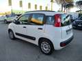 Fiat Panda 1.2 BENZINA E5 LOUNGE +600.00 GPL NUOVO Weiß - thumbnail 6