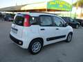 Fiat Panda 1.2 BENZINA E5 LOUNGE +600.00 GPL NUOVO Weiß - thumbnail 4