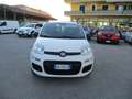 Fiat Panda 1.2 BENZINA E5 LOUNGE +600.00 GPL NUOVO Weiß - thumbnail 2