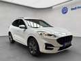 Ford Kuga 2.5 Duratec PHEV ST-LINE Weiß - thumbnail 10
