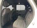 Ford Kuga 2.5 Duratec PHEV ST-LINE Weiß - thumbnail 19