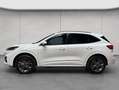 Ford Kuga 2.5 Duratec PHEV ST-LINE Weiß - thumbnail 3