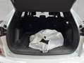 Ford Kuga 2.5 Duratec PHEV ST-LINE Weiß - thumbnail 7