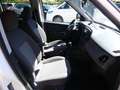 Fiat Doblo Doblò Lounge Sitzheizung*Kamera*1.Hand Weiß - thumbnail 19