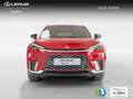 Lexus LBX 1.5 136cv HEV Elegant+ Червоний - thumbnail 5