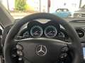 Mercedes-Benz SL 350 Roadster Xenon+Leder+ PTS+BOSE+Edelholz Plateado - thumbnail 21