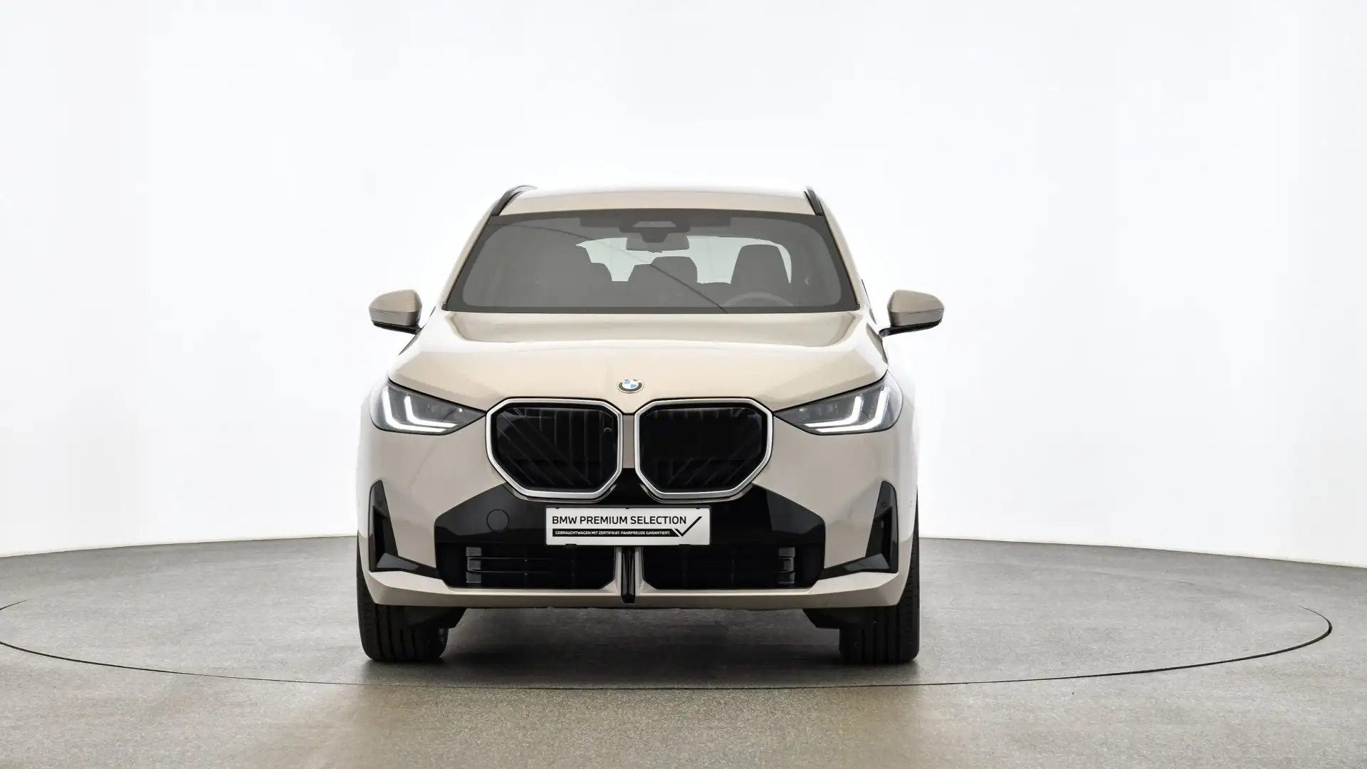 BMW X3 30e xDrive *M-Sportpaket *Harman/Kardon *AHK Grau - 2