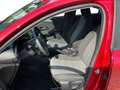 Opel Corsa F 1.2 Edition  Klima,Tempomat,Isofix,Dab Rot - thumbnail 11