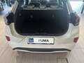 Ford Puma 1,0 EcoBoost Hybrid Sound Edition Weiß - thumbnail 15