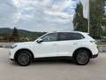 Volkswagen Tiguan 1,5 eTSI ACT Life DSG *AHK*IQ.LIGHT*NAVI* Weiß - thumbnail 11