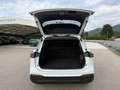 Volkswagen Tiguan 1,5 eTSI ACT Life DSG *AHK*IQ.LIGHT*NAVI* Weiß - thumbnail 15