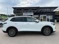 Volkswagen Tiguan 1,5 eTSI ACT Life DSG *AHK*IQ.LIGHT*NAVI* Weiß - thumbnail 20