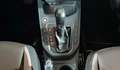 SEAT Ibiza 1.0 TSI S&S Xcellence DSG7 115 Gris - thumbnail 9