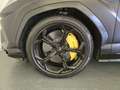 Lamborghini Urus Urus 4.0 Nero - thumbnail 9