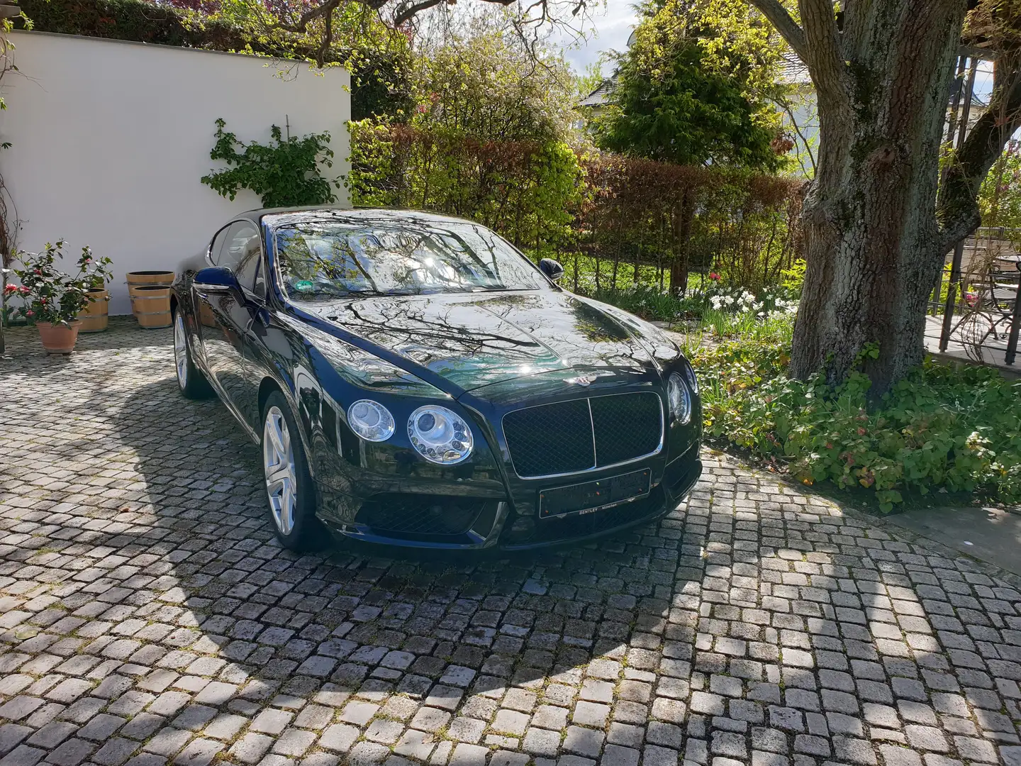 Bentley Continental GT V8 Grün - 1