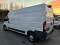 Fiat Ducato Ducato 35 2.3 MJT 130CV PLM-TM Furgone Blanc - thumbnail 3