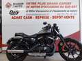Harley-Davidson Sportster 883 Gris - thumbnail 1