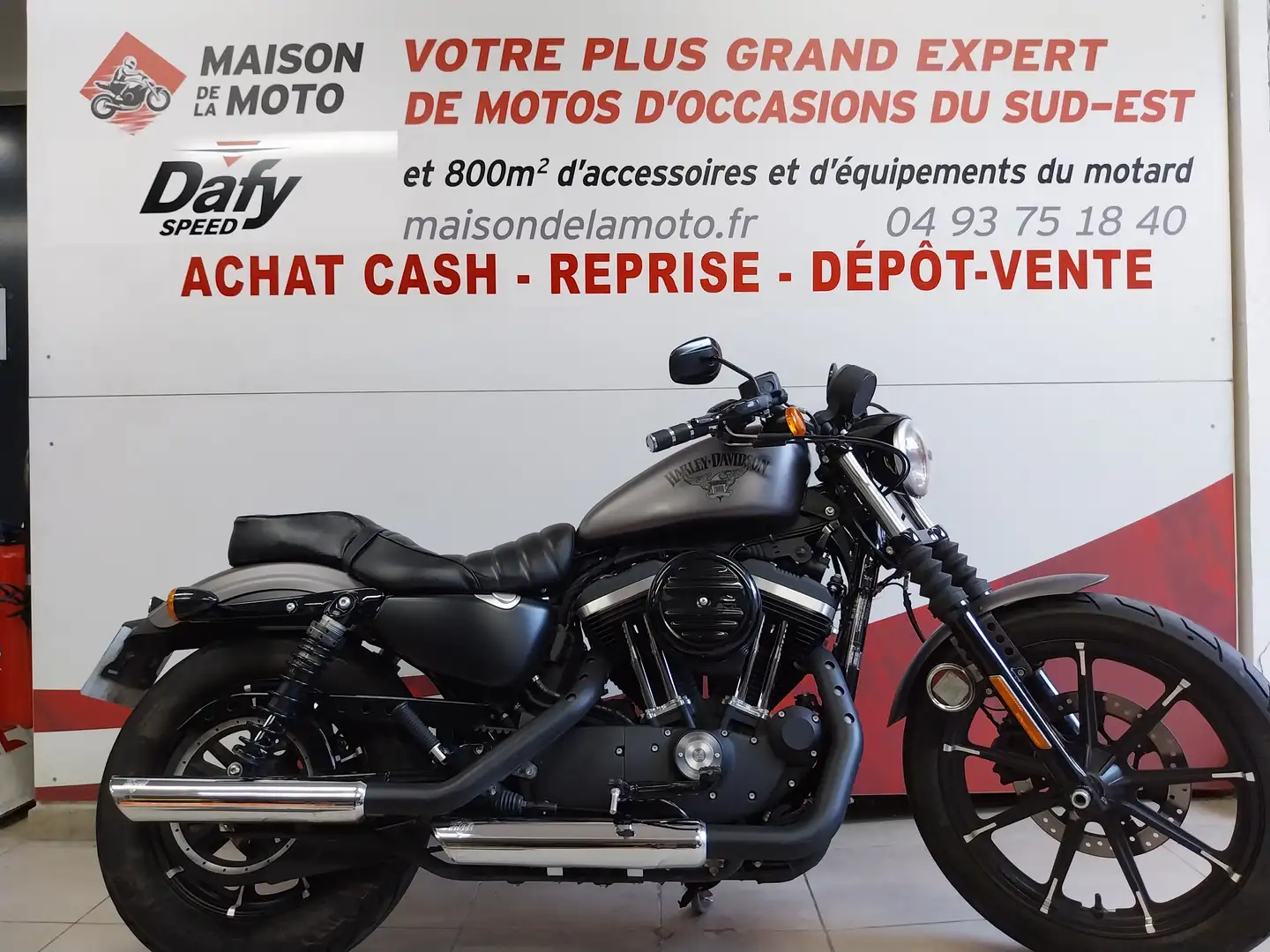 Harley-Davidson Sportster 883 Gris - 1