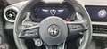 Alfa Romeo Tonale Edizione Speciale  PHEV e-AWD Rot - thumbnail 15
