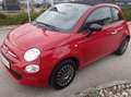 Fiat 500C Cabrio 1.0 GSE Hybrid ***leasingfähig*** Rot - thumbnail 3