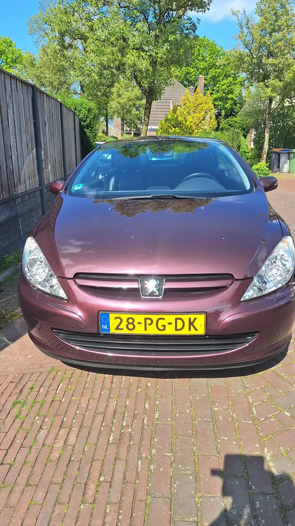 Peugeot 307 307 2.0-16V  cabriolet Paars - 2