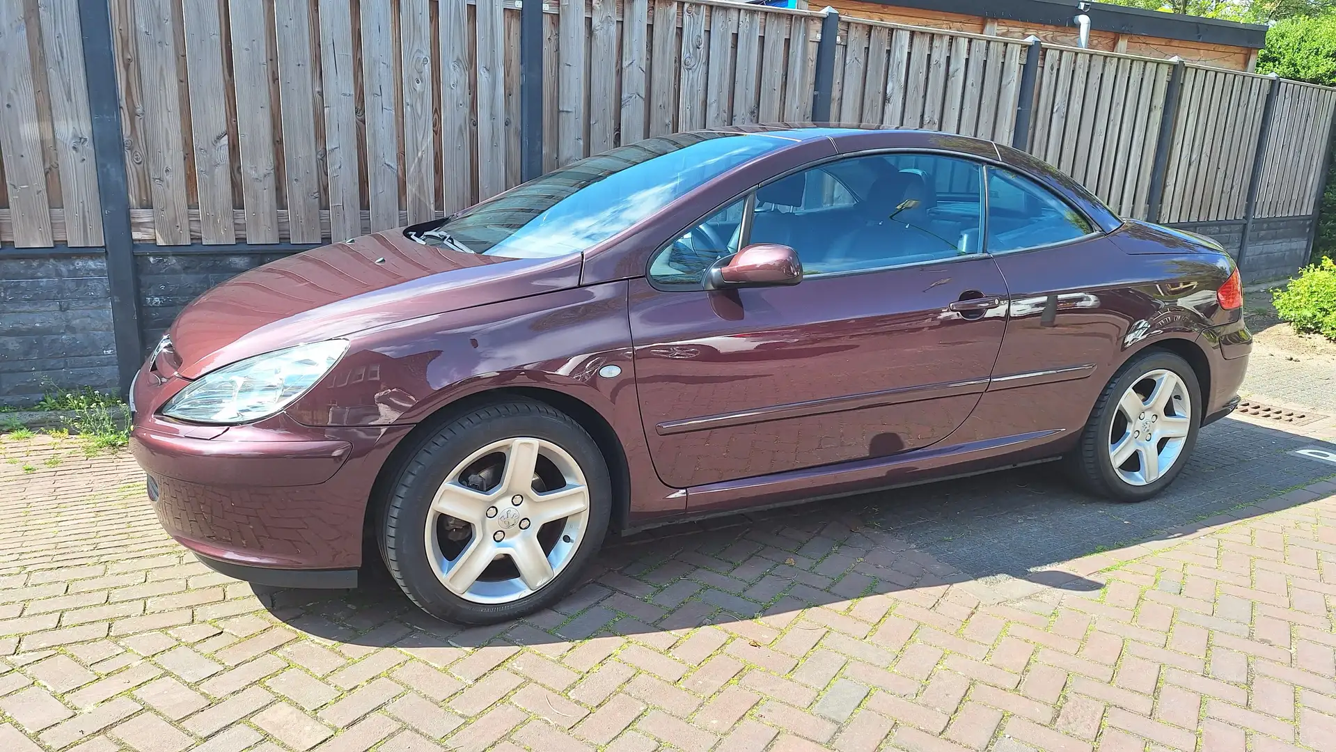 Peugeot 307 307 2.0-16V  cabriolet Paars - 1