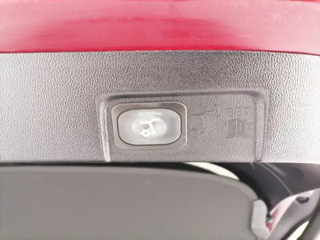 Ford Puma view 11