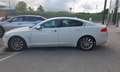 Jaguar XF XF I 2013 Berlina 2.2d Premium Luxury 200cv auto Bianco - thumbnail 5