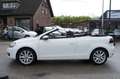 Volkswagen Golf Cabriolet 1.2 TSI CUP EDITION NAVI/PDC/CRUISE/STOELVERW PERF Wit - thumbnail 2