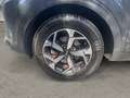 Kia Sportage Sportage 1.6 CRDI 136 CV 2WD Mild Hybrid - thumbnail 5