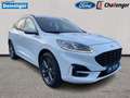 Ford Kuga 2.5 l Duratec Plug-In Hybrid (PHEV) ST-Line X Auto Weiß - thumbnail 7