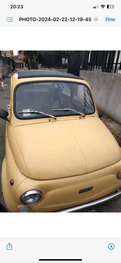 Fiat 500 Giallo - 2