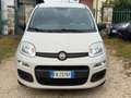 Fiat Panda Panda 1.3 MJT 95 CV S&S Easy Bianco - thumbnail 2
