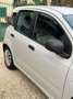 Fiat Panda Panda 1.3 MJT 95 CV S&S Easy Bianco - thumbnail 5