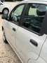 Fiat Panda Panda 1.3 MJT 95 CV S&S Easy Bianco - thumbnail 14